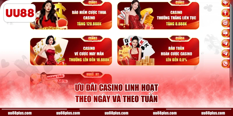 Ưu đãi casino linh hoạt theo ngày và theo tuần